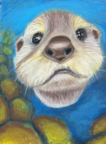 Otter