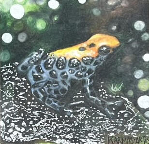Poison Frog